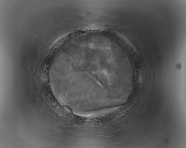 X0000115661350200912031323