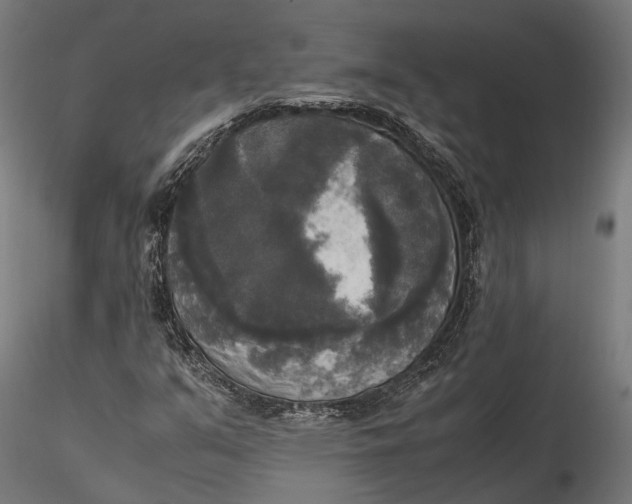 X0000115661351200912031323