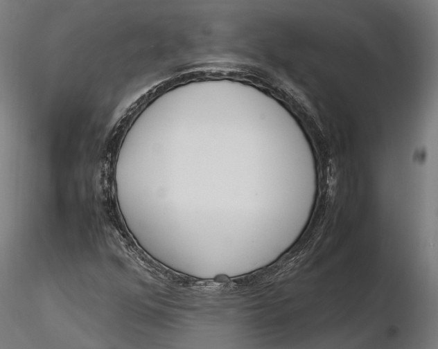 X0000115661352200912031323