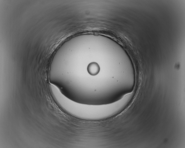 X0000115661353200912031323