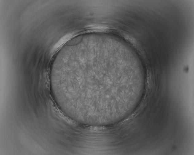X0000115661354200912031323