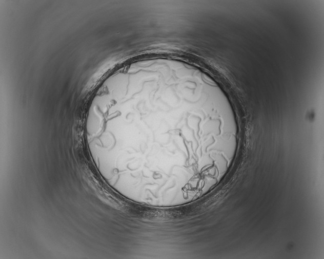X0000115661355200912031323