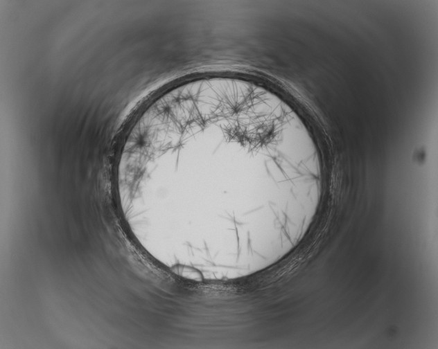 X0000115661356200912031323