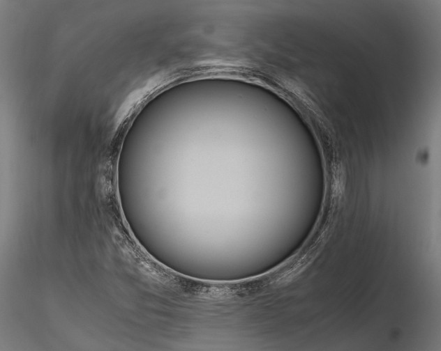 X0000115661357200912031323