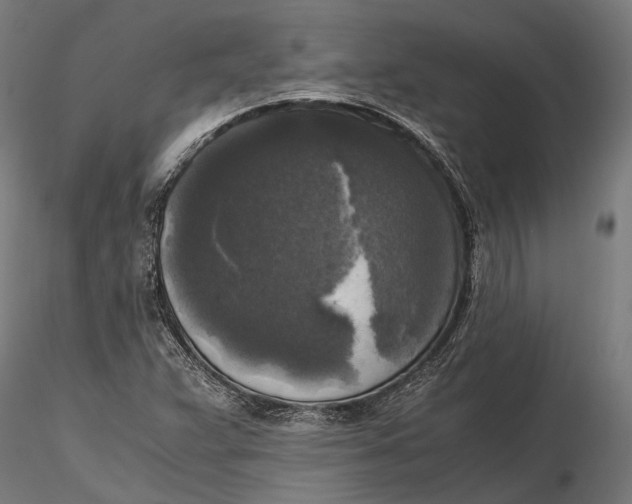 X0000115661359200912031323