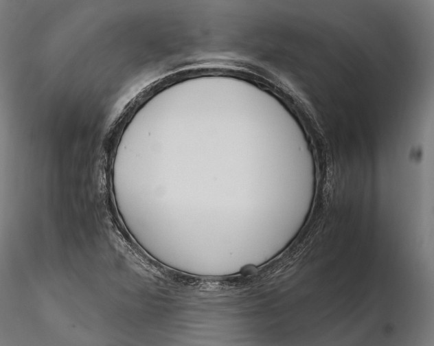 X0000115661360200912031323