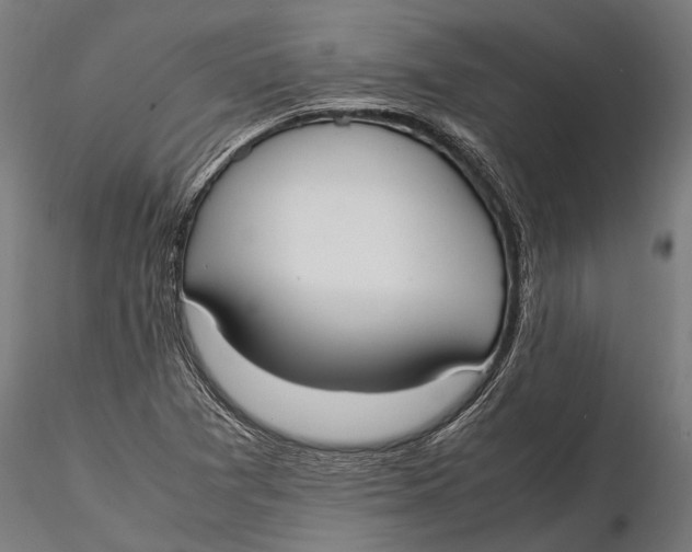 X0000115661361200912031323