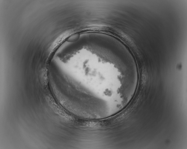 X0000115661362200912031323