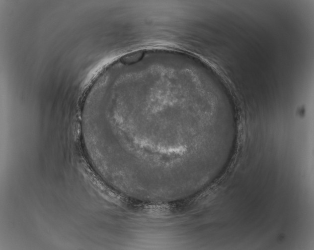 X0000115661363200912031323
