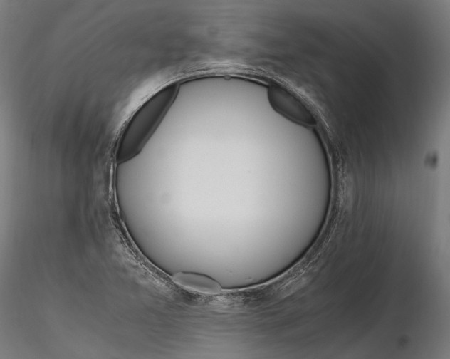 X0000115661365200912031323