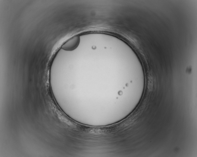 X0000115661366200912031323
