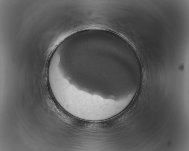 X0000115661367200912031323