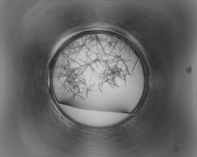 X0000115661368200912031323