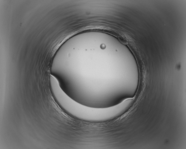X0000115661369200912031323