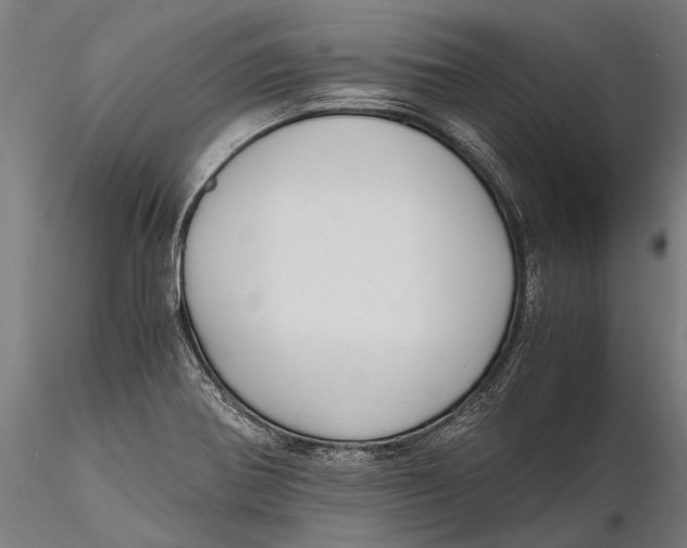 X0000115661370200912031323