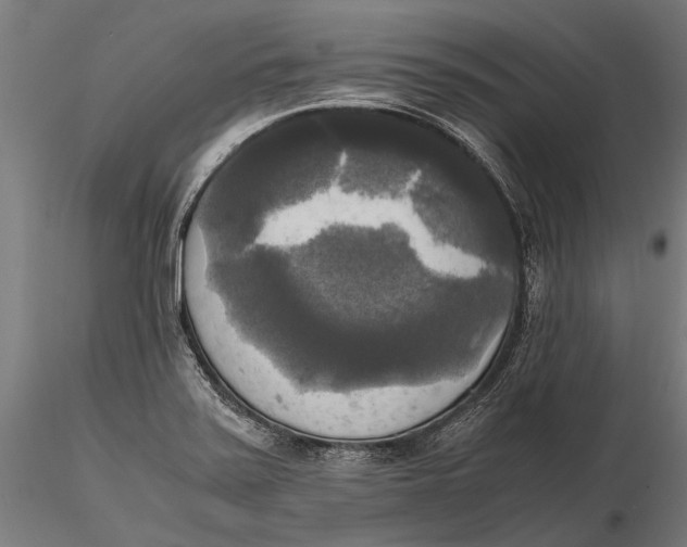 X0000115661371200912031323