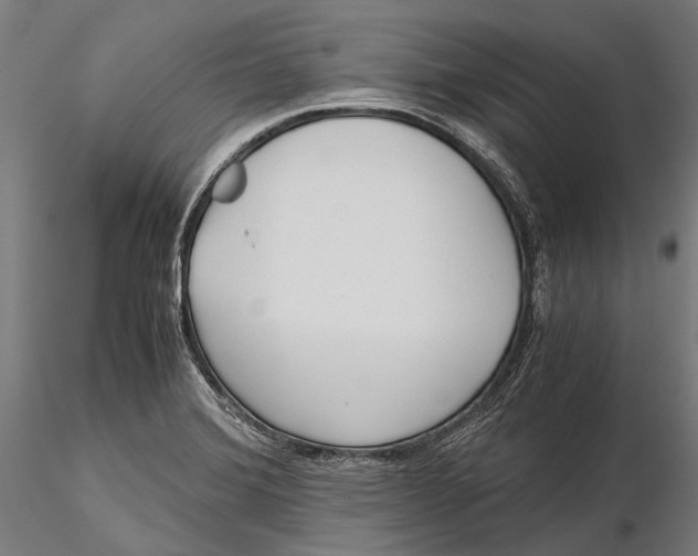 X0000115661372200912031323