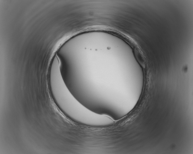X0000115661373200912031323