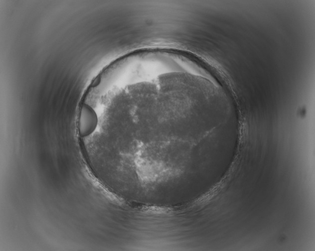 X0000115661374200912031323