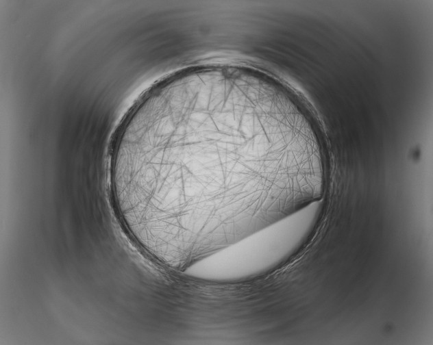 X0000115661376200912031322