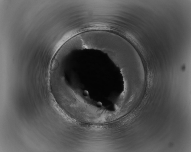 X0000115661378200912031322