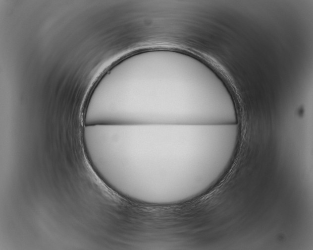 X0000115661380200912031322