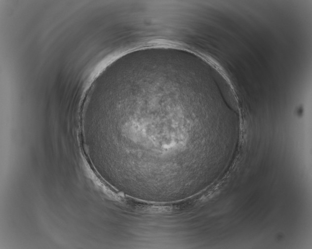 X0000115661381200912031322