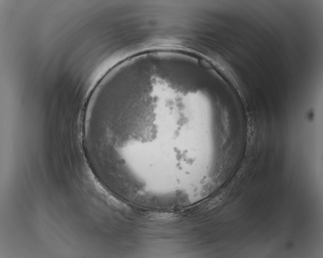X0000115661382200912031322