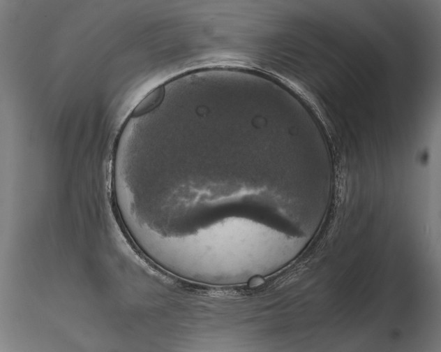 X0000115661383200912031322