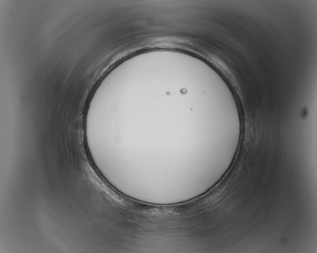 X0000115661384200912031322