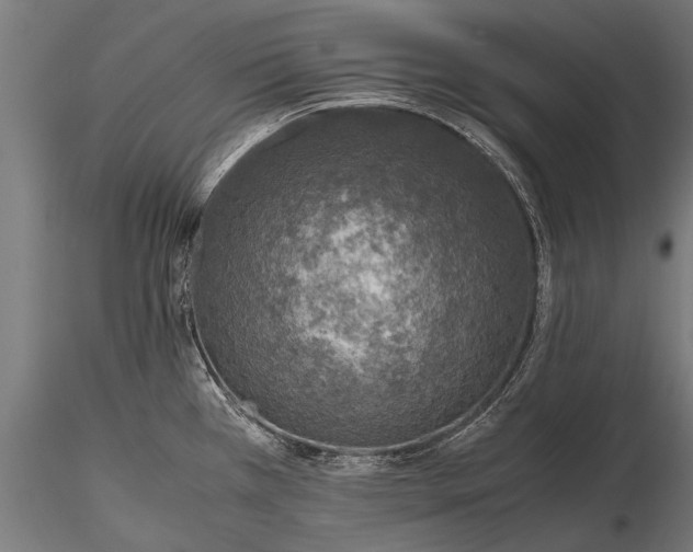 X0000115661385200912031322