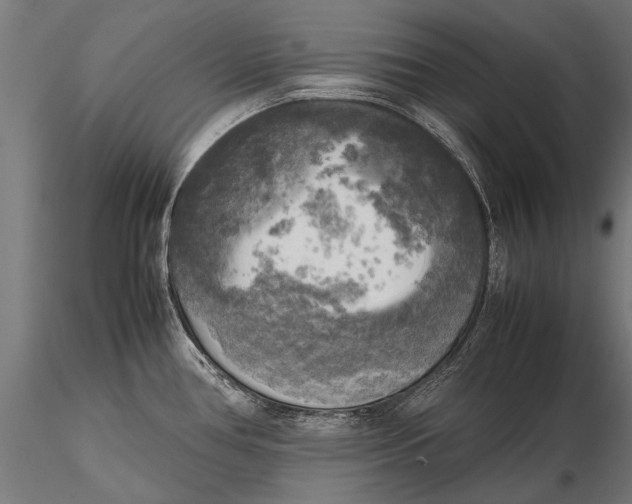 X0000115661386200912031322