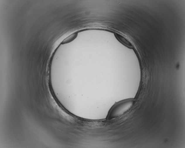 X0000115661387200912031322