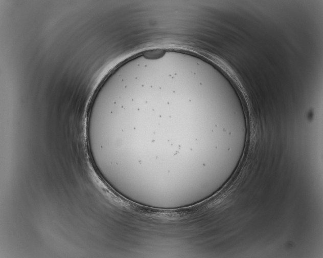X0000115661388200912031322