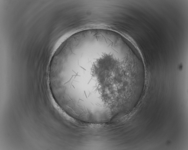 X0000115661389200912031322