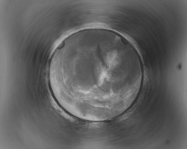 X0000115661390200912031322