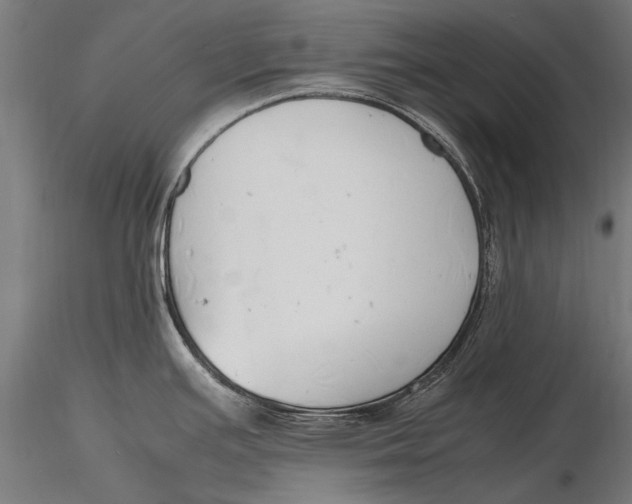 X0000115661391200912031322