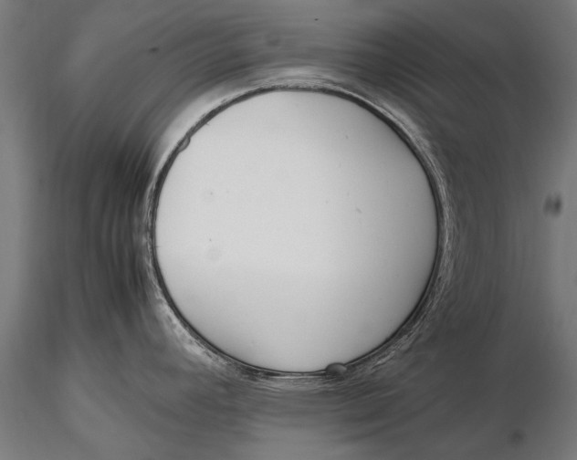 X0000115661392200912031322