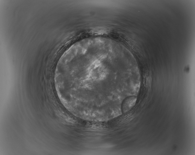 X0000115661393200912031322
