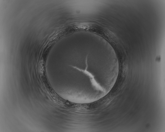 X0000115661394200912031322