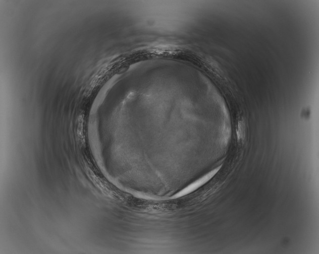 X0000115661396200912031322