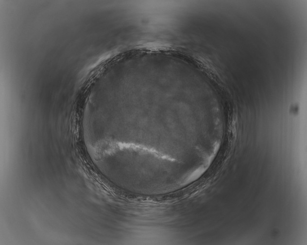 X0000115661398200912031322