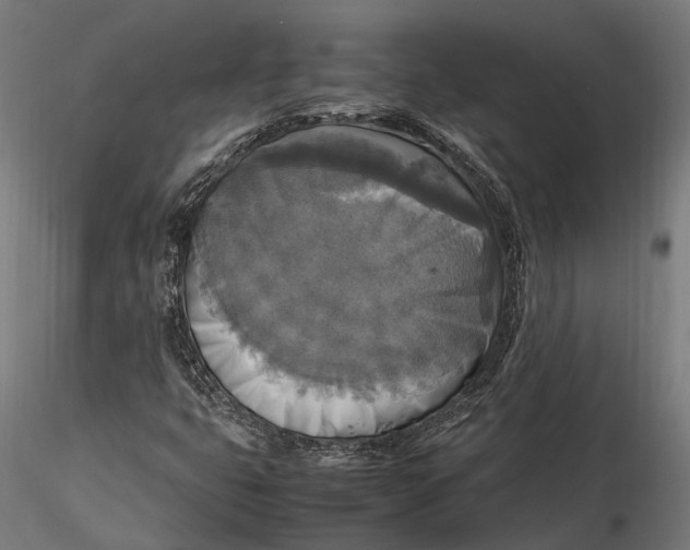 X0000115661399200912031322