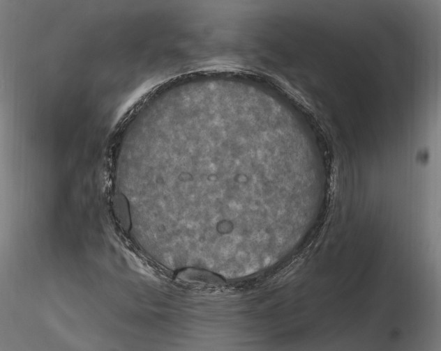 X0000115661400200912031322