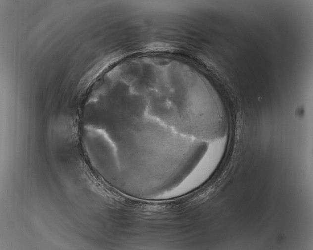 X0000115661401200912031322