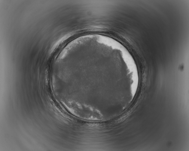 X0000115661402200912031322
