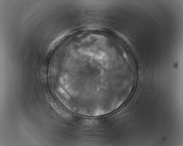 X0000115661403200912031322