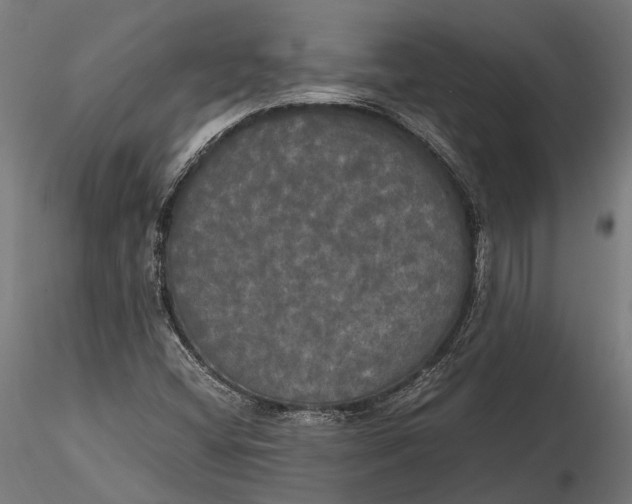 X0000115661404200912031322
