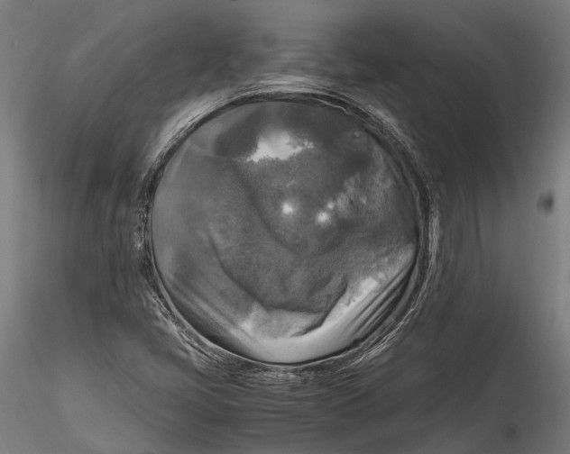 X0000115661405200912031322
