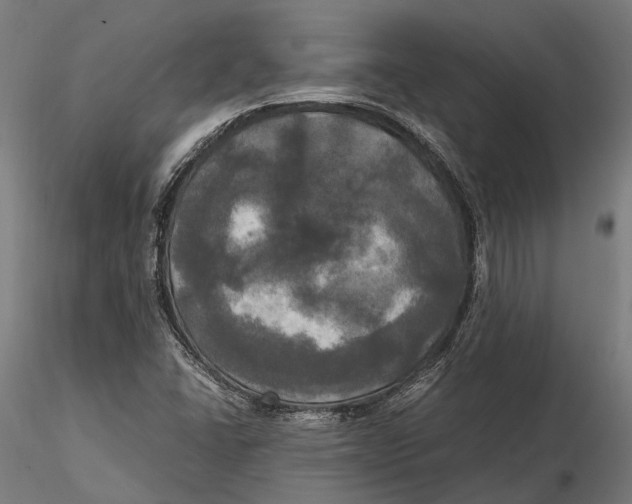 X0000115661406200912031322